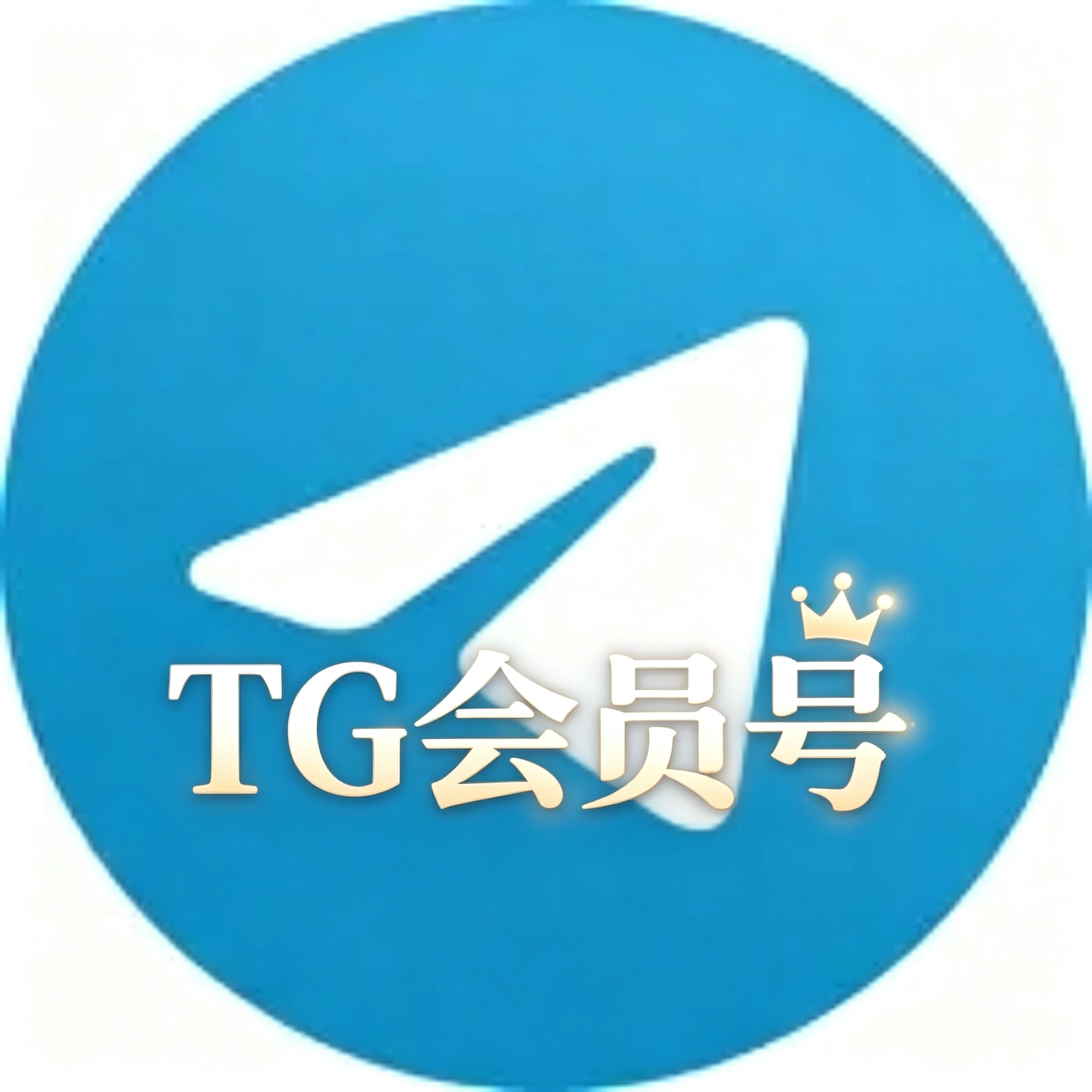 Telegram会员号示例图