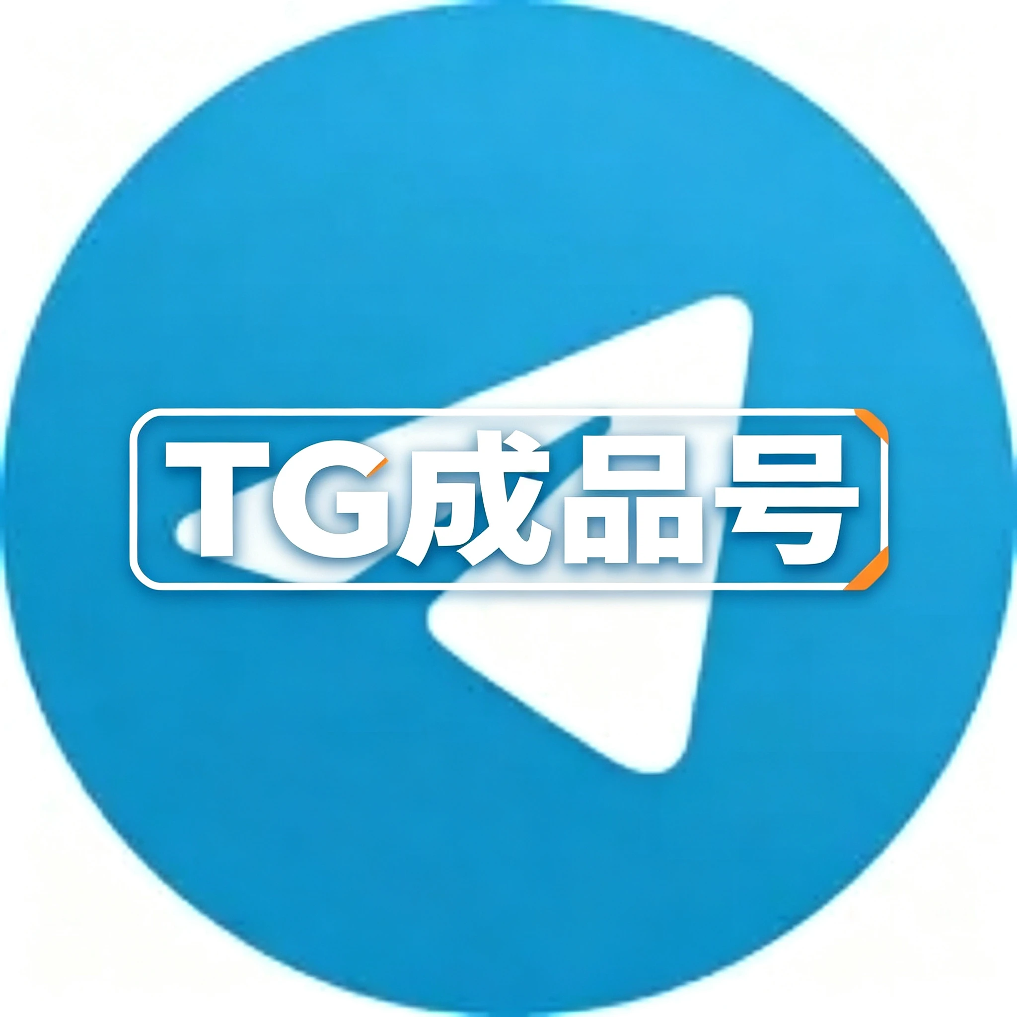 TG成品号示例图