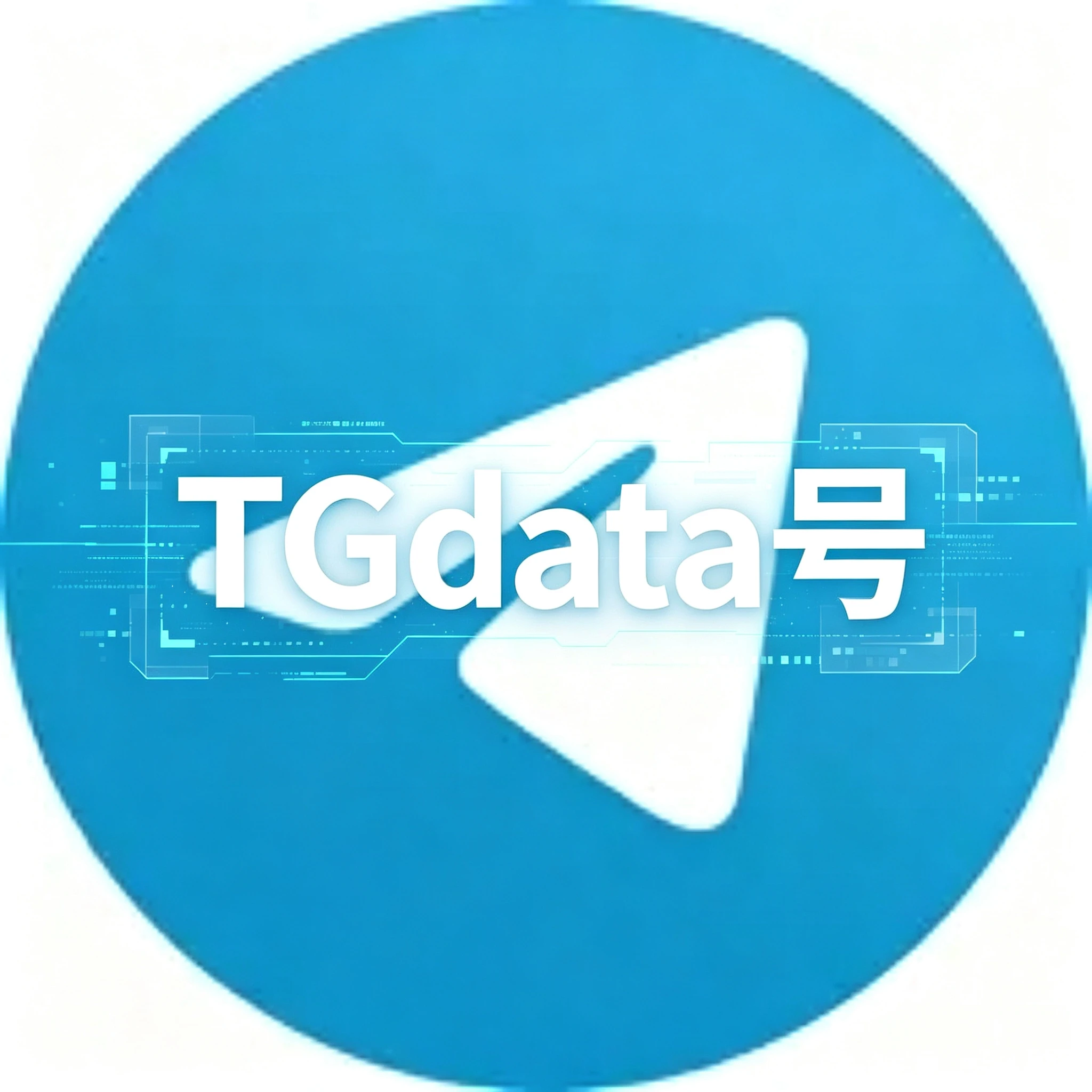TG成品号示例图